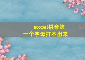 excel拼音第一个字母打不出来