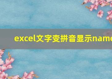 excel文字变拼音显示name