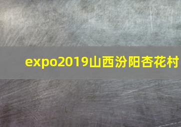 expo2019山西汾阳杏花村