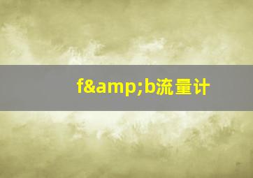 f&b流量计