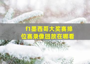 f1墨西哥大奖赛排位赛录像回放在哪看