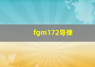 fgm172导弹