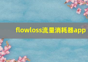 flowloss流量消耗器app