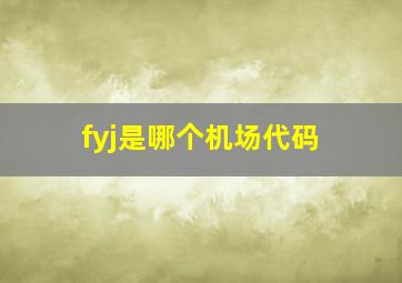 fyj是哪个机场代码