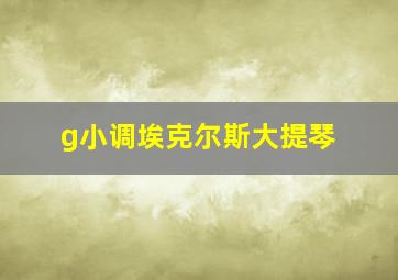 g小调埃克尔斯大提琴