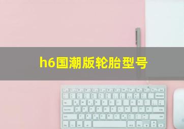 h6国潮版轮胎型号