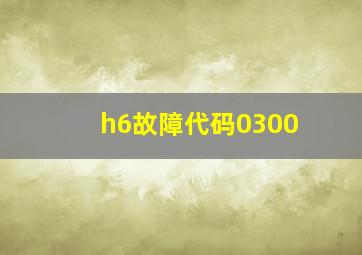 h6故障代码0300