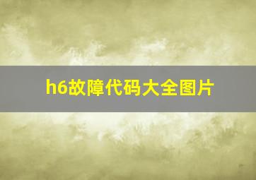 h6故障代码大全图片