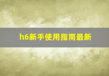 h6新手使用指南最新