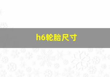 h6轮胎尺寸