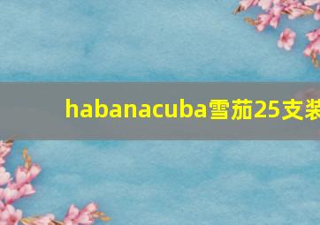 habanacuba雪茄25支装