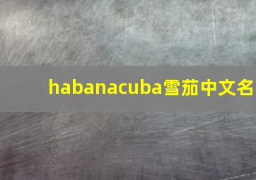 habanacuba雪茄中文名