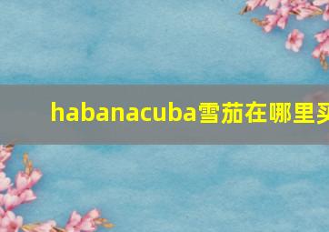 habanacuba雪茄在哪里买