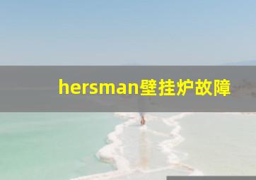 hersman壁挂炉故障