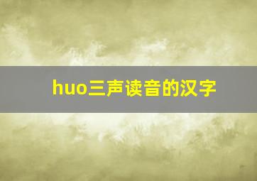 huo三声读音的汉字