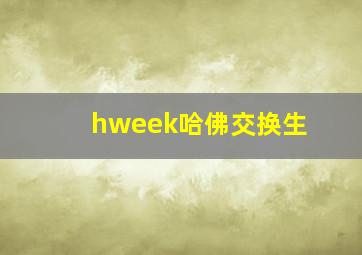 hweek哈佛交换生