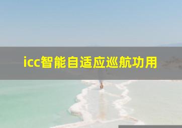 icc智能自适应巡航功用