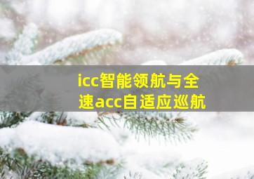 icc智能领航与全速acc自适应巡航