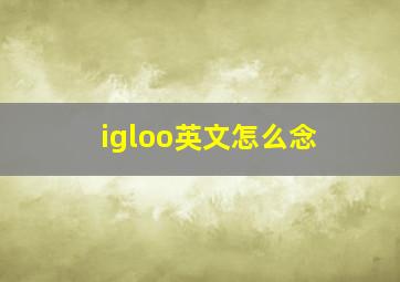 igloo英文怎么念