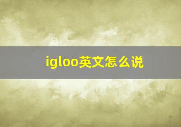 igloo英文怎么说