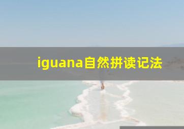 iguana自然拼读记法