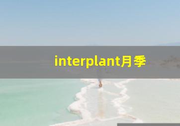 interplant月季