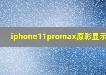 iphone11promax原彩显示偏黄