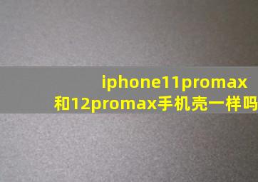 iphone11promax和12promax手机壳一样吗