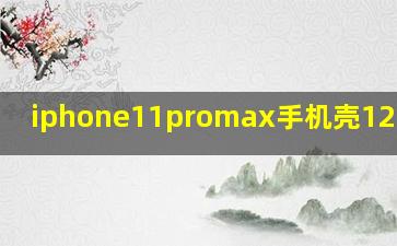 iphone11promax手机壳12能用吗