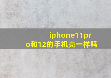 iphone11pro和12的手机壳一样吗