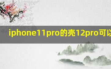 iphone11pro的壳12pro可以用吗