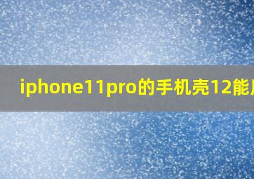 iphone11pro的手机壳12能用吗