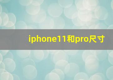 iphone11和pro尺寸