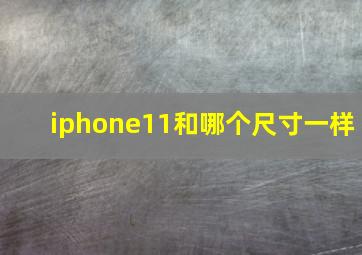 iphone11和哪个尺寸一样