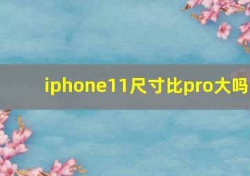 iphone11尺寸比pro大吗