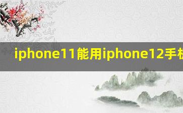 iphone11能用iphone12手机壳吗