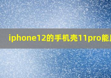 iphone12的手机壳11pro能用吗