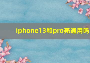 iphone13和pro壳通用吗