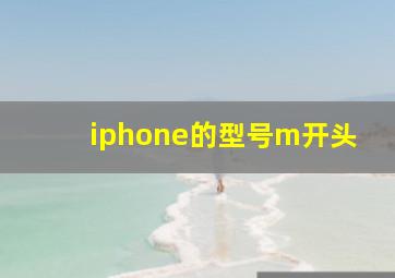 iphone的型号m开头