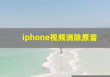 iphone视频消除原音