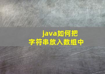 java如何把字符串放入数组中