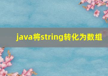 java将string转化为数组