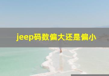 jeep码数偏大还是偏小