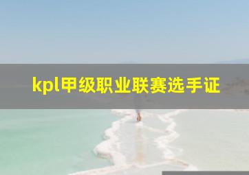 kpl甲级职业联赛选手证