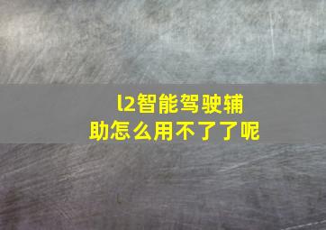 l2智能驾驶辅助怎么用不了了呢