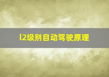 l2级别自动驾驶原理