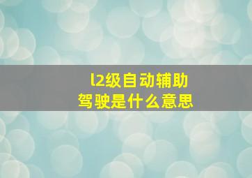 l2级自动辅助驾驶是什么意思