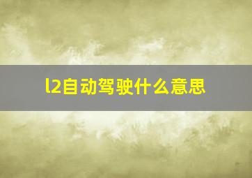 l2自动驾驶什么意思