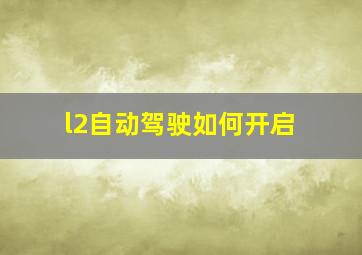 l2自动驾驶如何开启