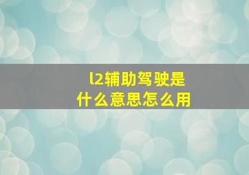 l2辅助驾驶是什么意思怎么用